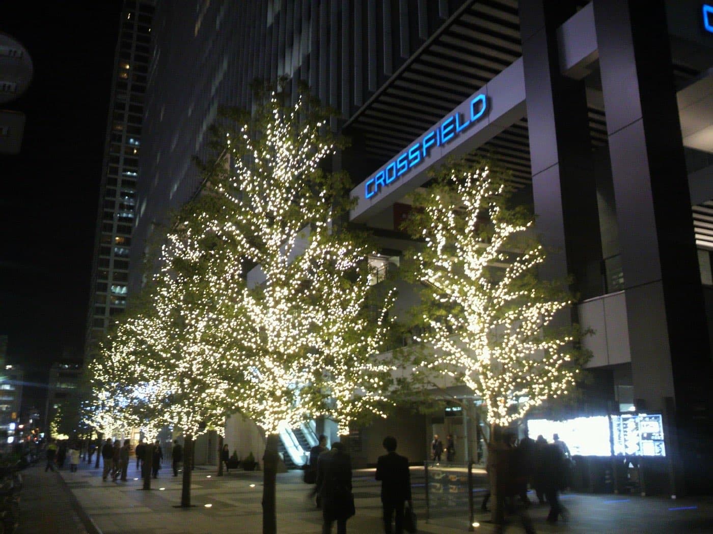 Row of trees covered in warm white lights next to a modern office building at night